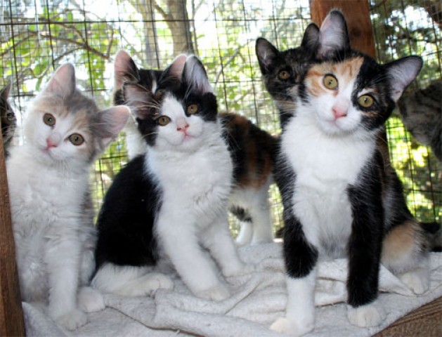 Agency Photo  (56973)