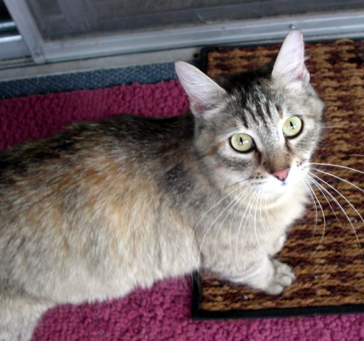 Agency Photo  (56980)