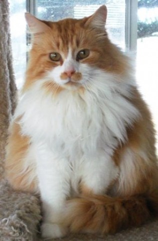 Agency Photo  (56978)