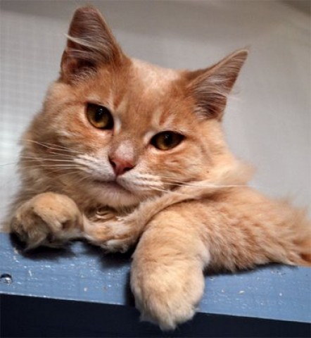 Agency Photo  (56976)