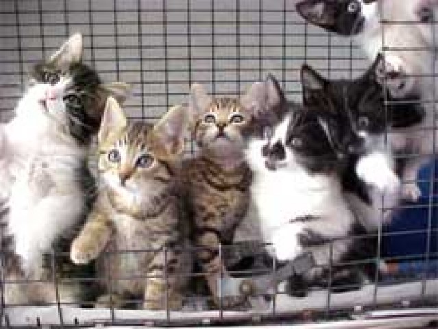 Agency Photo  (56974)