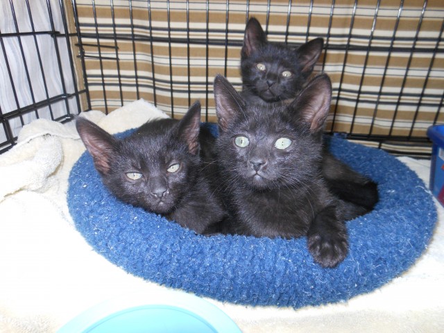 Agency Photo  (56977)