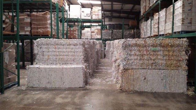 Agency Photo  (211180)