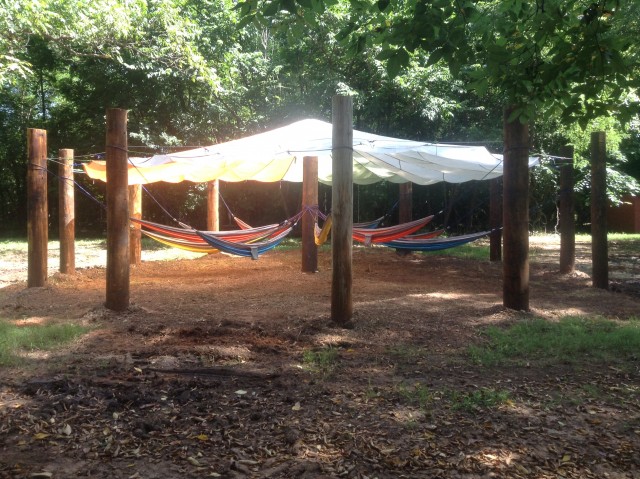 Agency Photo  (55132)