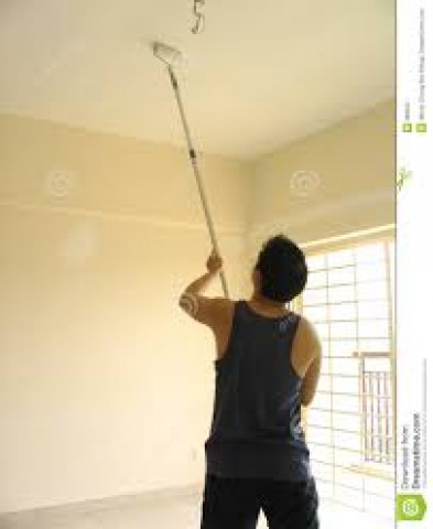 Agency Photo  (103831)