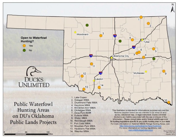 Agency Photo  (47801)