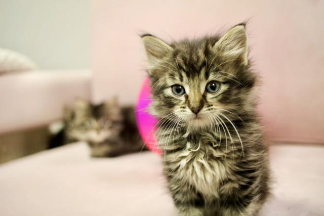 Agency Photo  (140428)