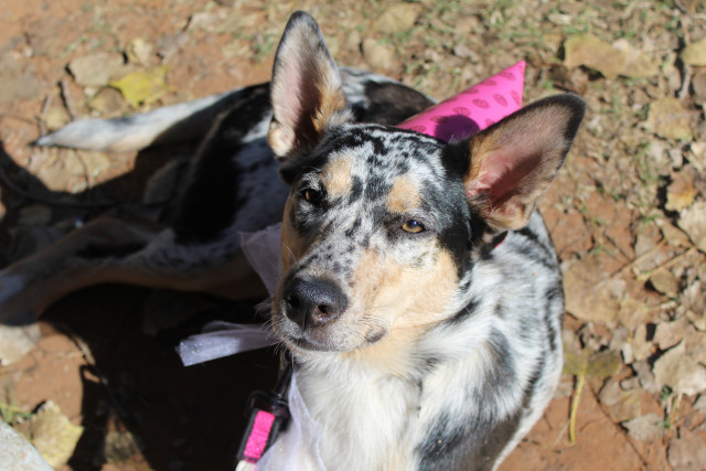 Agency Photo  (140574)