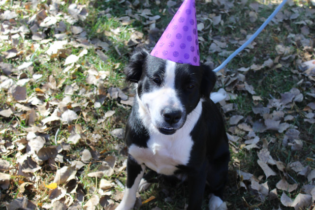 Agency Photo  (140429)