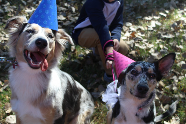 Agency Photo  (140573)