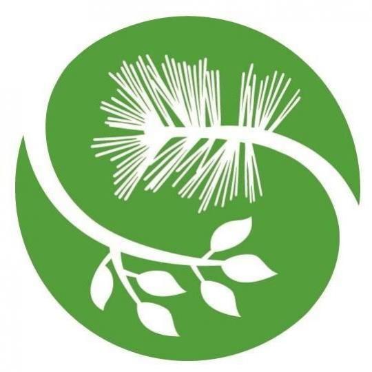 Agency Logo