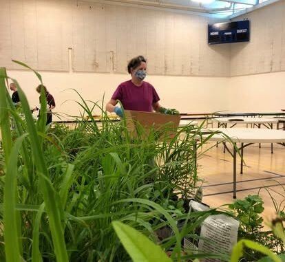 Agency Photo  (264624)