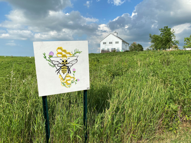 Organization Photo  (165181)