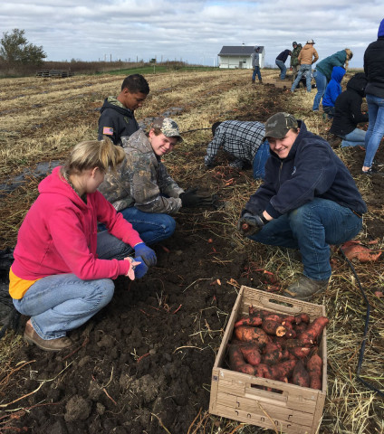 Organization Photo  (165179)