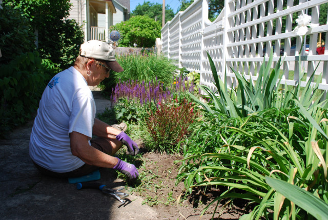 Organization Photo  (165178)