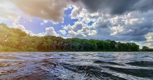 Organization Photo  (163388)