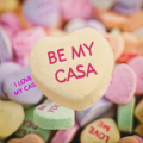 Organization Photo  (55477)