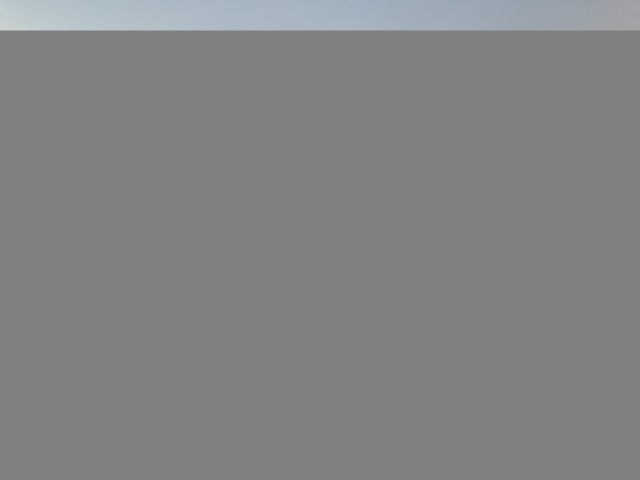 Organization Photo  (209418)