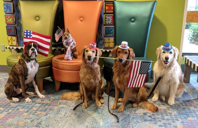 Organization Photo  (201823)