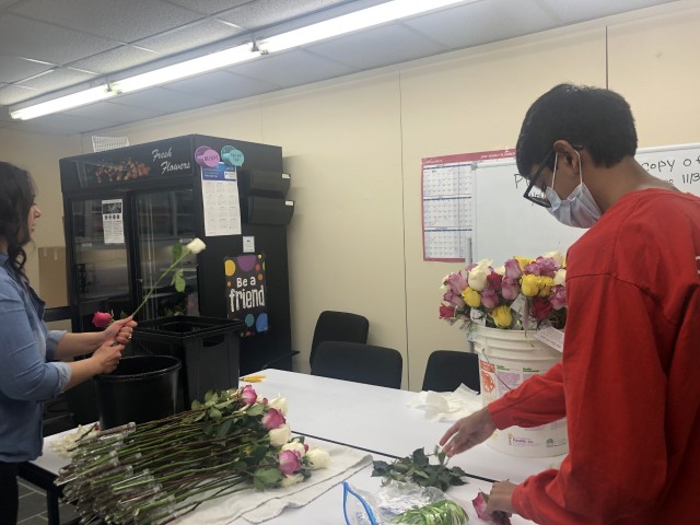 Organization Photo  (211340)