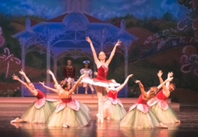 Organization Photo  (165399)