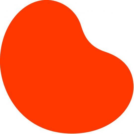 Organization Logo