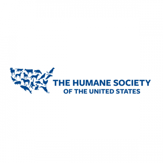 Agency Logo
