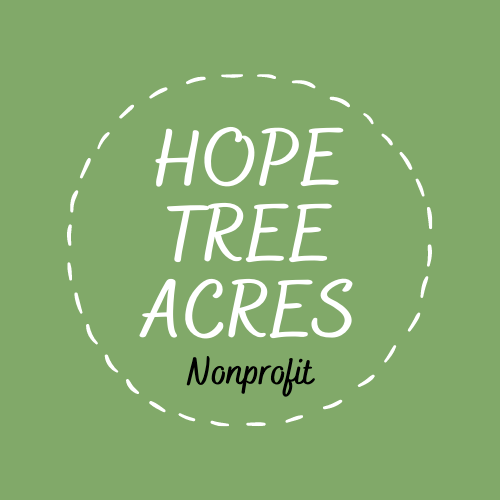 Agency Logo
