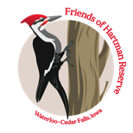 Agency Logo
