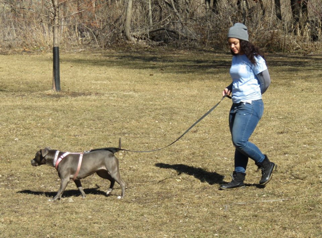 Agency Photo  (119723)