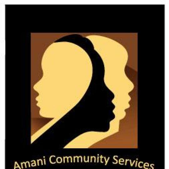 Agency Logo