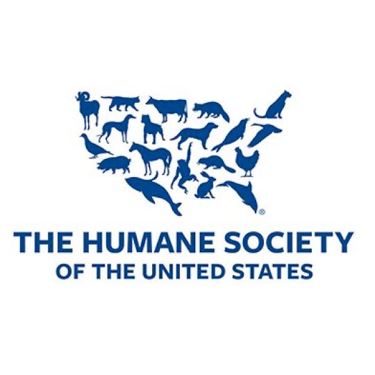 Agency Logo