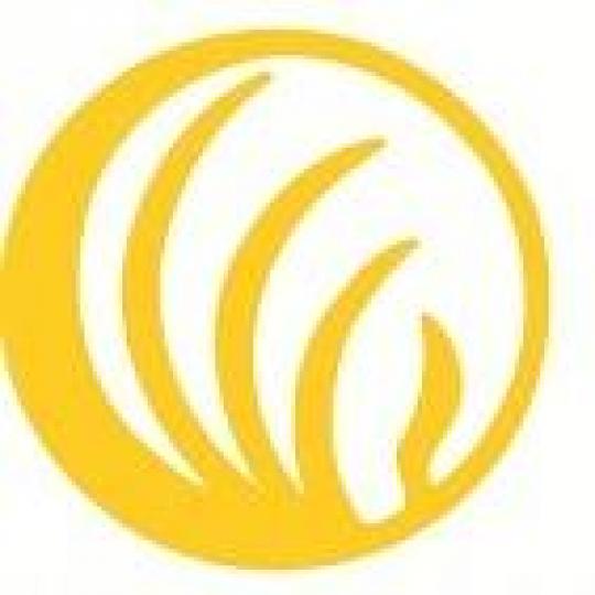 Agency Logo
