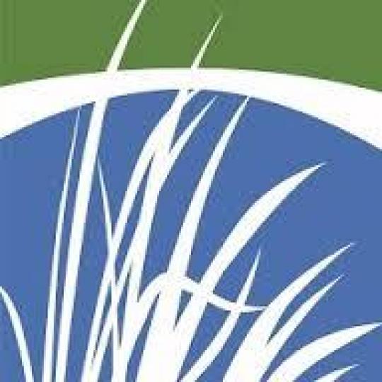 Agency Logo