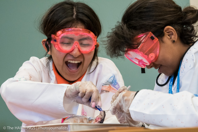 Organization Photo  (133395)