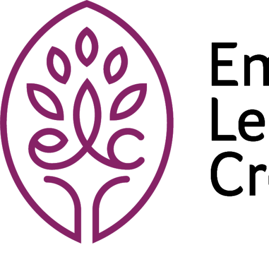 Organization Logo