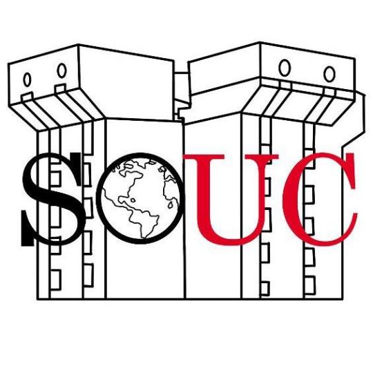 Organization Logo