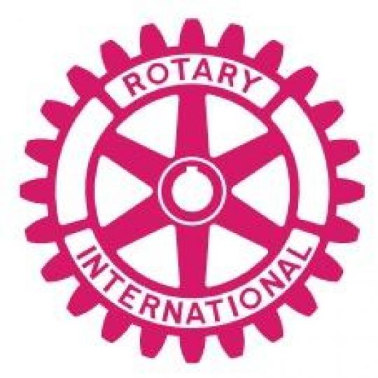 Organization Logo