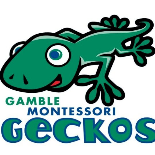 Organization Logo