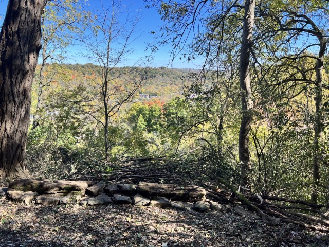 Organization Photo  (207684)