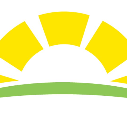 Organization Logo