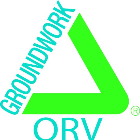 Organization Logo
