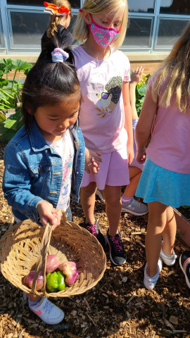 Organization Photo  (176665)