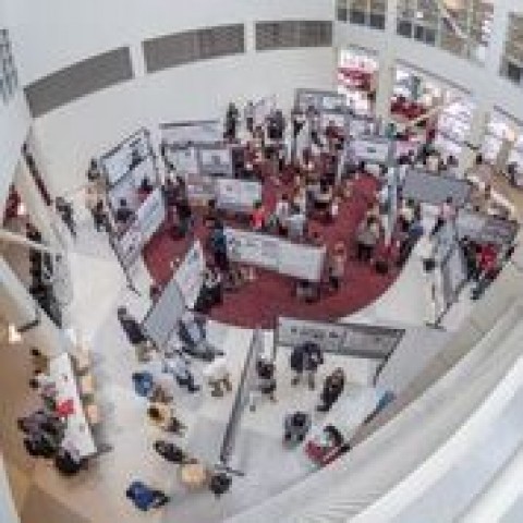 Organization Photo  (104529)