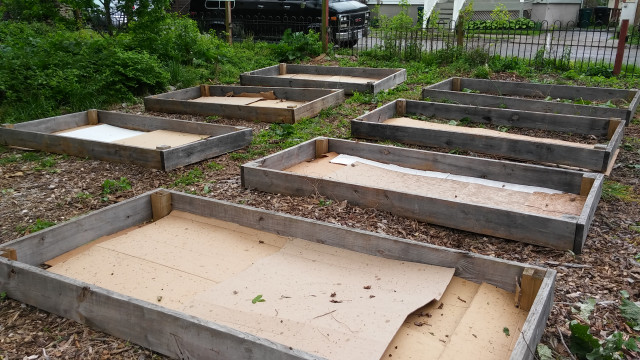 Organization Photo  (115601)