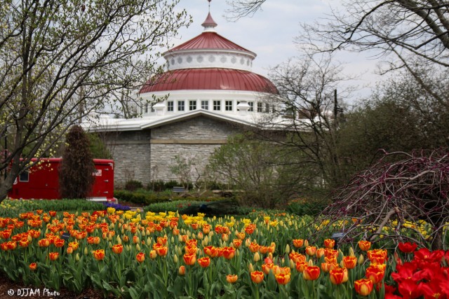 Organization Photo  (79005)