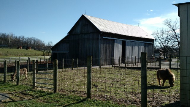 Organization Photo  (107917)