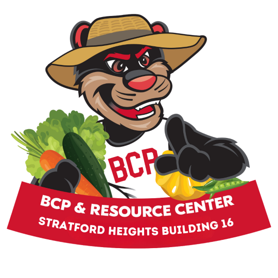 Organization Logo
