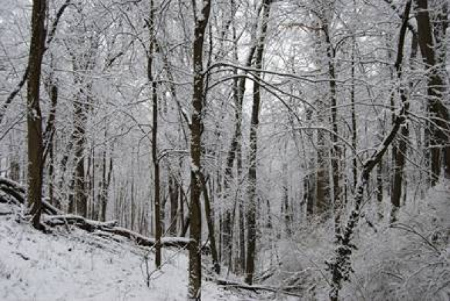 Organization Photo  (122681)