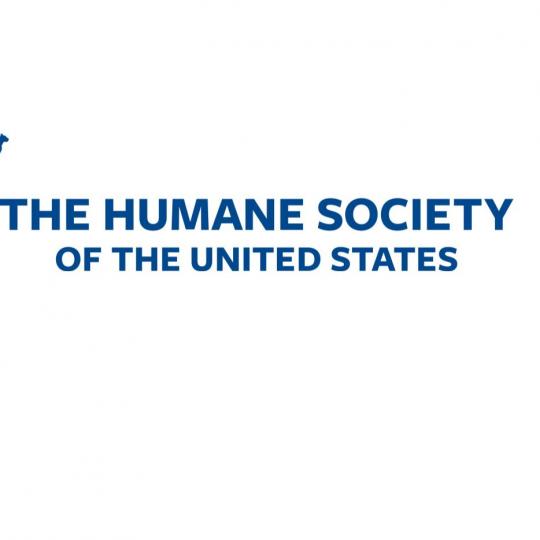 Organization Logo